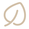 Icon representing a leaf